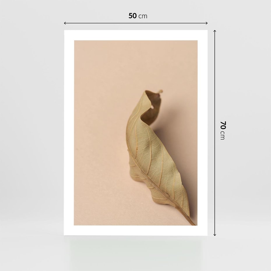 Plakat bez ramy 50x70 - Boho suszone liście - suszony, liść