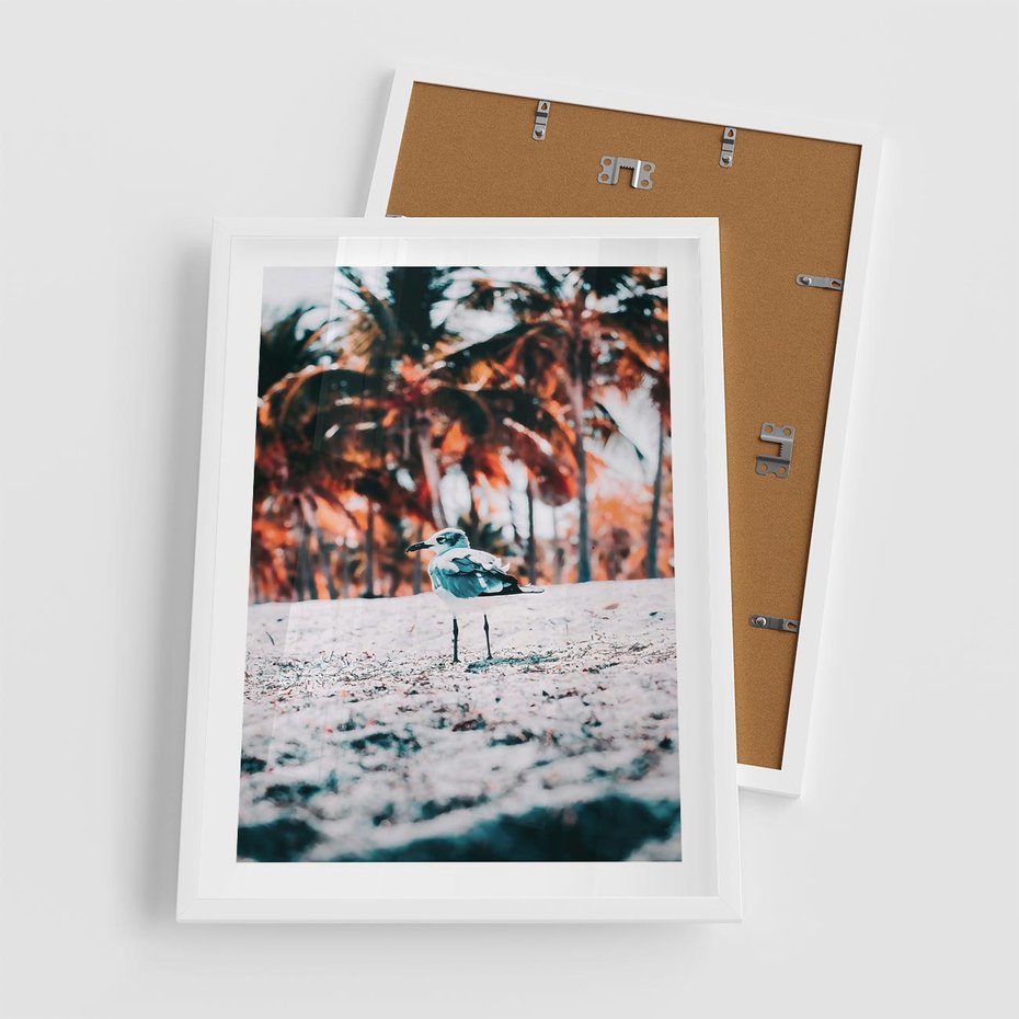 Plakat w ramie 50x70 - Tropikalna Uroda: Plaża z Mewą - tropikalna plaża, mewa na piasku - rama biała