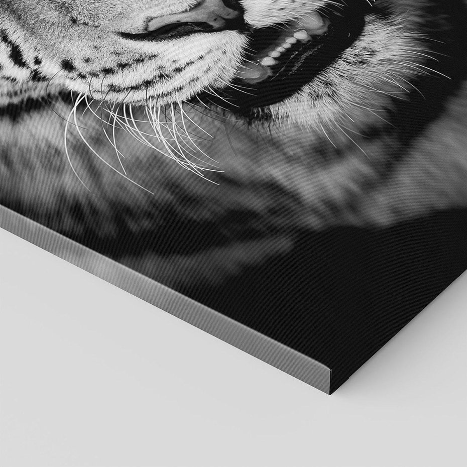 Obraz na płótnie 70x100 - Tygrys Czarno-Biały: Siła i Delikatność - tygrys, czarno