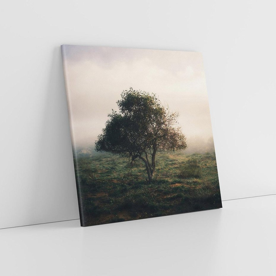 Obraz na płótnie 40x40 - Zamglona Prostota - artystyczna fotografia, samotne drzewo na zamglonej łące