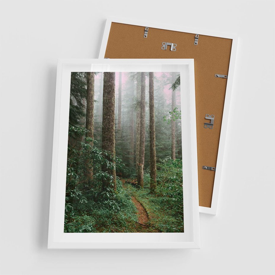 Plakat w ramie 50x70 - Mgliste Marzenia - artystyczna fotografia, las - rama biała
