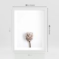 Plakat w ramie 30x40 - Suszona Roślina na Białym Tle - minimalizm, suszona roślina - rama biała