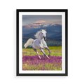 Plakat w ramie 50x70 - Koń Góry: Spotkanie z Wielką Przyrodą - koń, góry - rama czarna
