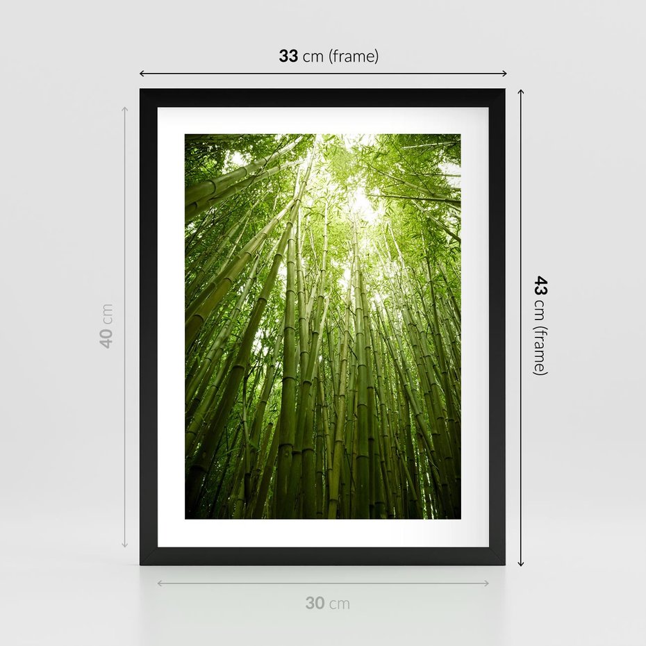 Plakat w ramie 30x40 - Siła Natury - drzewa, las - rama czarna