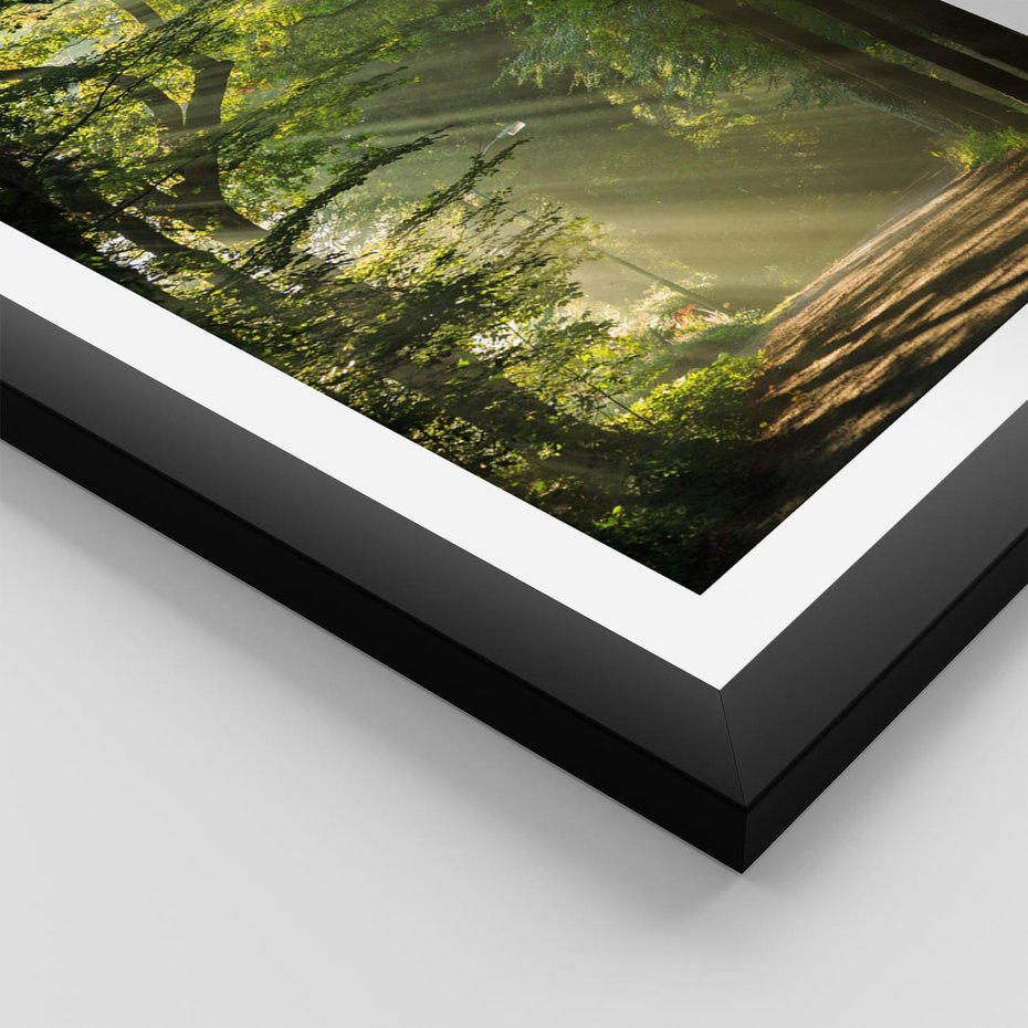 Plakat w ramie 30x40 - harmonia natury - las, drzewa - rama czarna