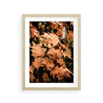 Plakat w ramie 40x50 - Ciepło Jesieni - jesienne pomarańczowe liśćie, jesień - rama drewno