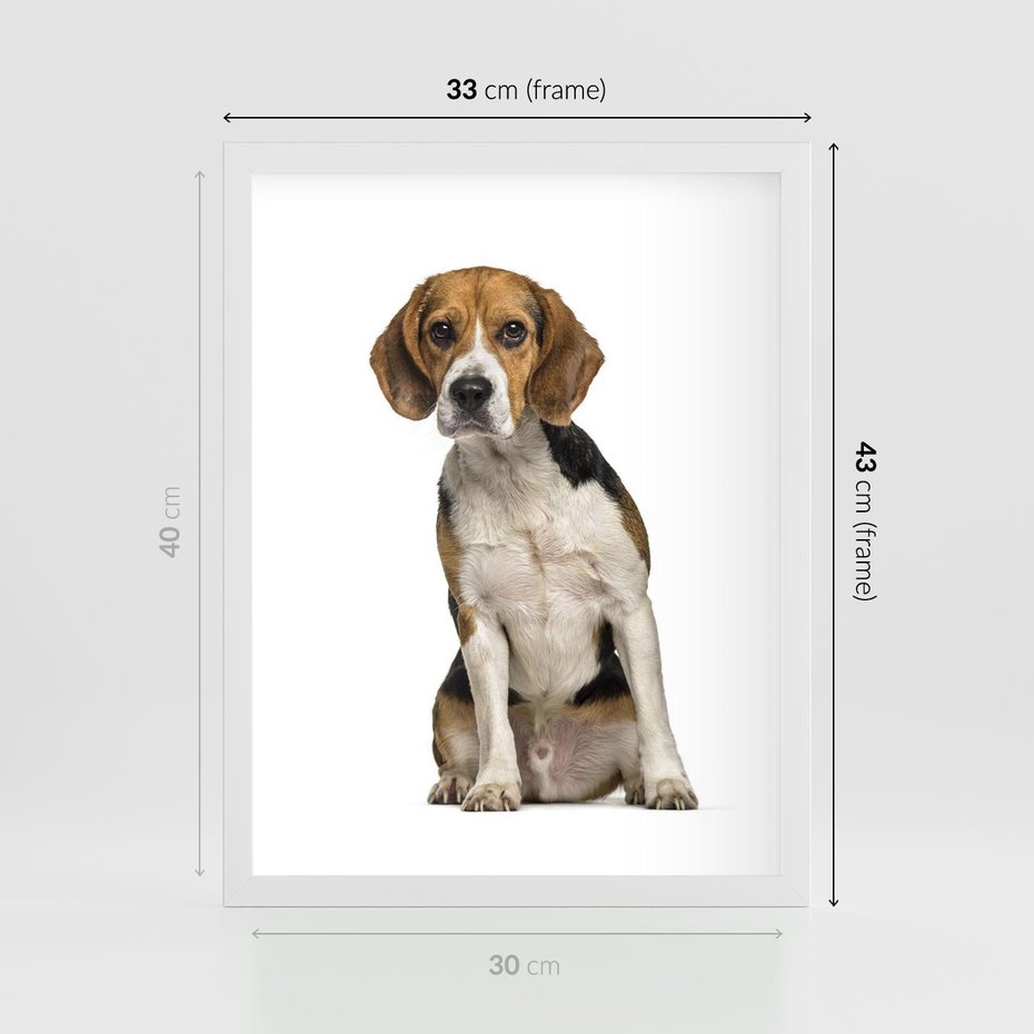 Plakat w ramie 30x40 - Wierność i radość - pies, piesek - rama biała