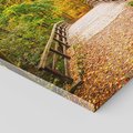 Obraz na płótnie 60x60 - Spacer Ścieżką w Las - ścieżka, spacer
