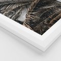Plakat w ramie 40x50 - Liściaste Palmy - palmy, drzewa palmowe - rama biała