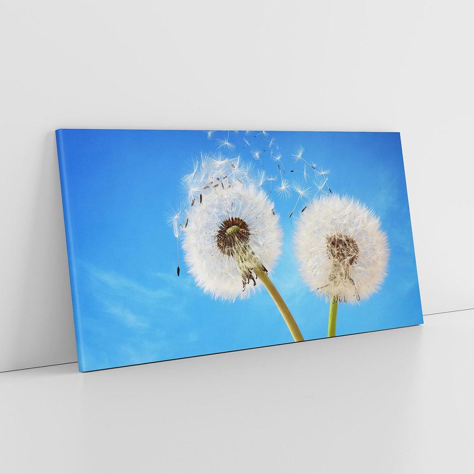 Obraz na płótnie 120x60 - wiatr pełen marzeń - dmuchawce, wiatr