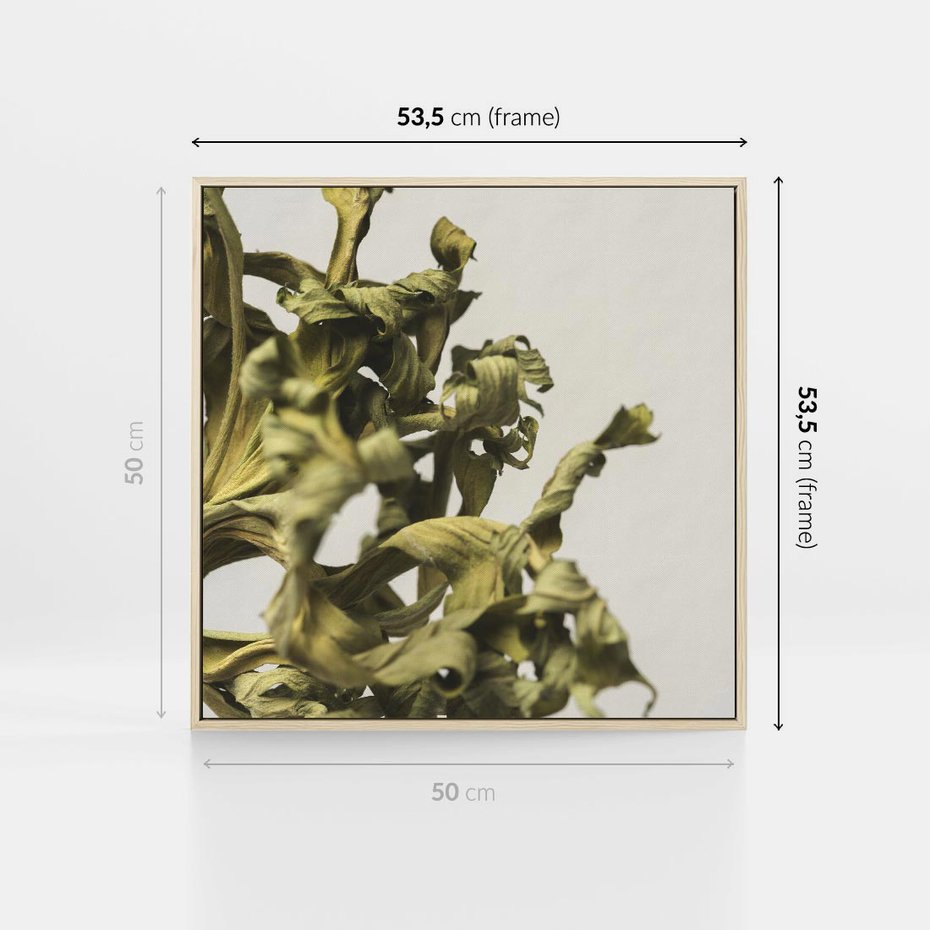 Obraz w ramie 50x50 - Odejście pory deszczowej - suche, trawy - rama drewno