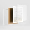 Plakat w ramie 40x50 - Jasna Delikatność: Fotografia Suchych Traw - suche trawy, jasna fotografia - rama biała