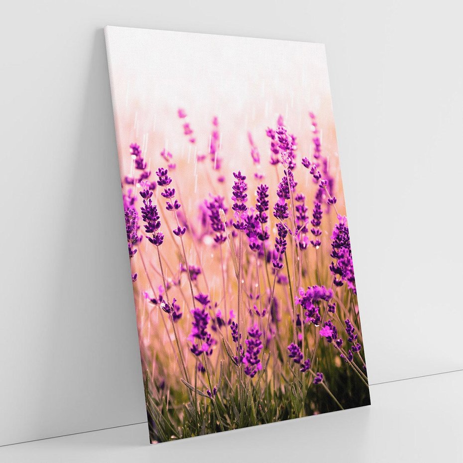 Obraz na płótnie 70x100 - Lawenda: Pachnące pole kwiatów - kwiaty, lawenda