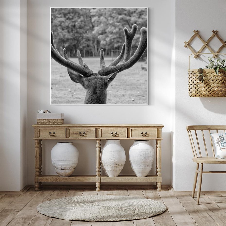 Obraz w ramie 80x80 - Przygubione motyle marzeń - fotografia czarno biała, młody jeleń w zagrodzie - rama biała