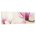 Obraz na płótnie 120x40 - Urok Magnolii - magnolie, kwiaty