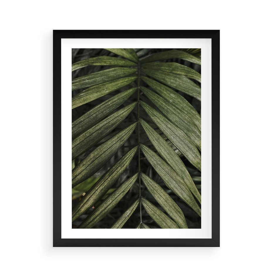 Plakat w ramie 50x70 - W Liściach Ukryte - zdjęcie, fotografia - rama czarna