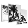 Zestaw obrazy w ramie 30x40 galeria - Palmy, czarno, biały, minimalizm - rama biała