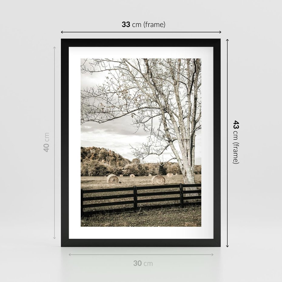 Plakat w ramie 30x40 - Drzewa i Snopki Siana - farma, drzewa - rama czarna