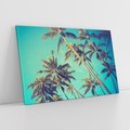 Obraz na płótnie 120x80 - Tropikalne palmy w krainie słonecznych wakacji - palmy, tropiki