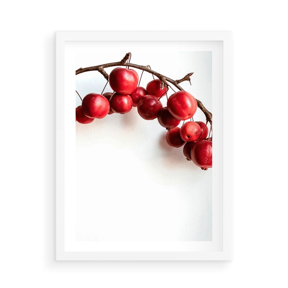 Plakat w ramie 50x70 - Jesienne Owoce - jarzębina, czerwone owoce - rama biała