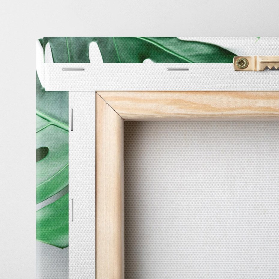 Obraz na płótnie 30x30 - Monstera - Liście Kwiaty - monstera, liście