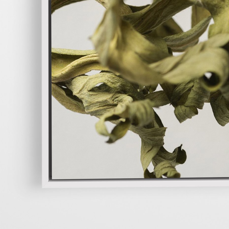 Obraz w ramie 80x120 - Odejście pory deszczowej - suche, trawy - rama biała