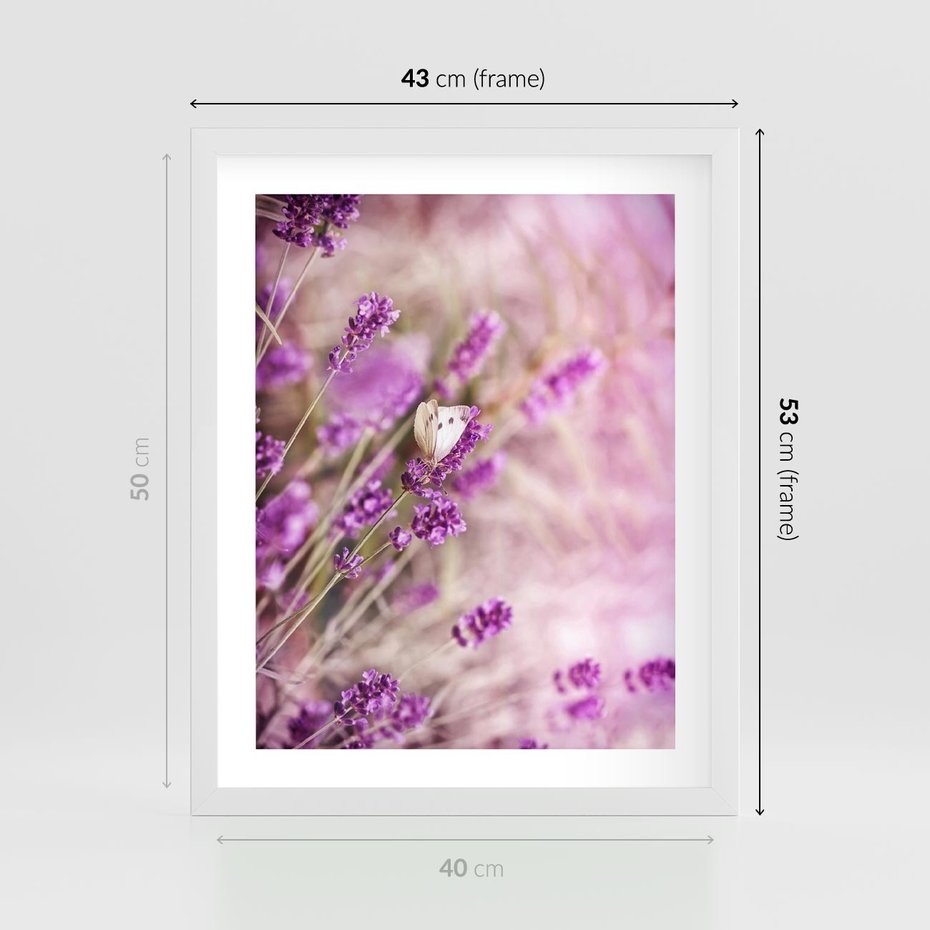 Plakat w ramie 40x50 - Majestat lawendy: fioletowe pola - lawenda, fiolet - rama biała