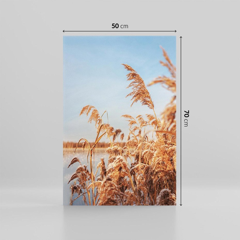 Obraz na płótnie 50x70 - Wyraz Stylu - trawy, boho