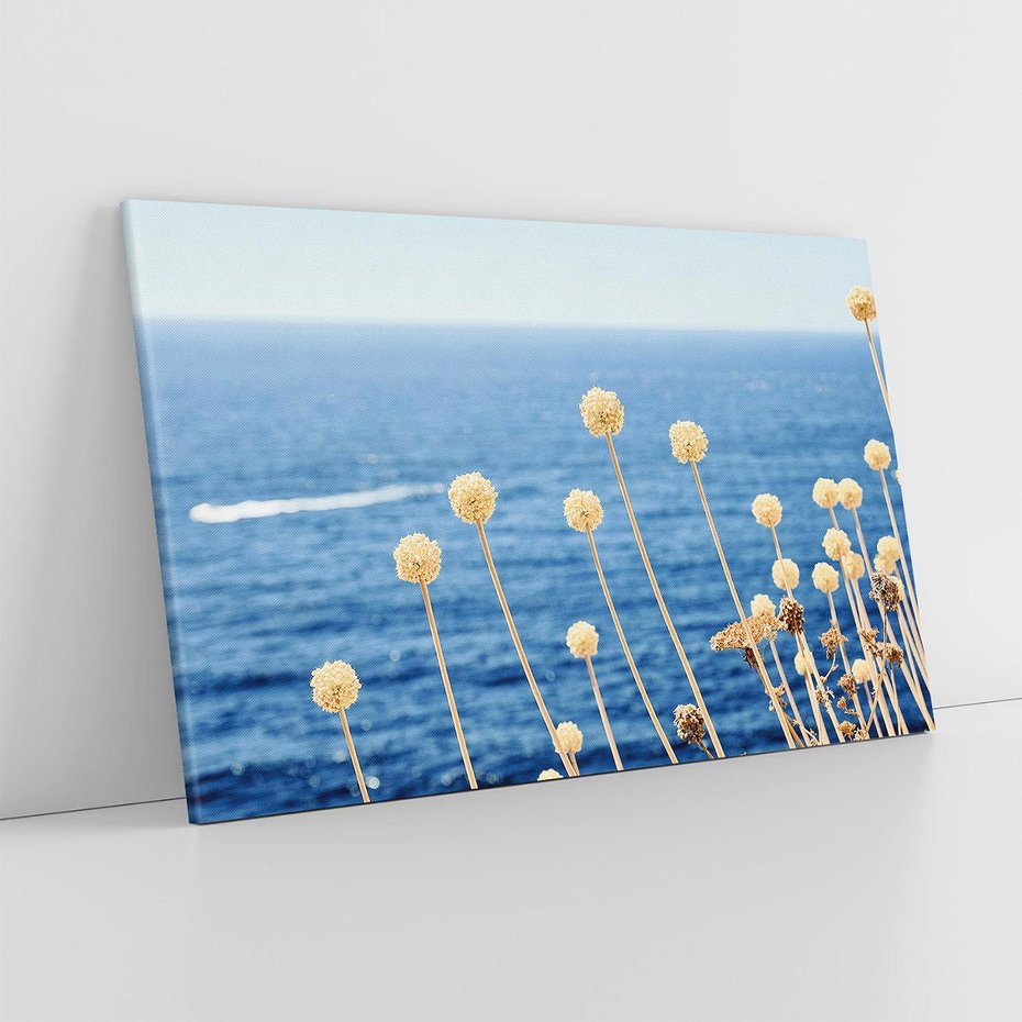 Obraz na płótnie 100x70 - Kontrasty Natury - fotografia, pierwszy plan sucha roślinność