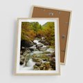 Plakat w ramie 50x70 - Śpiew Strumienia - strumień, górski - rama drewno