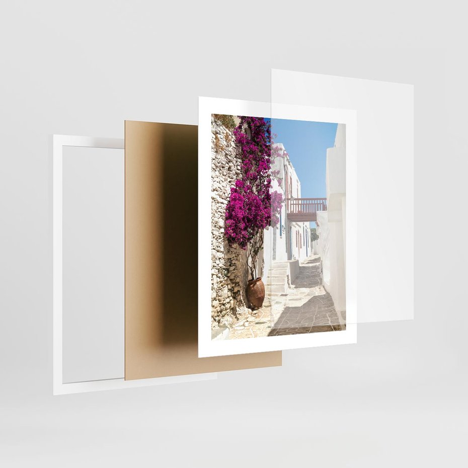 Plakat w ramie 40x50 - Kwiaty Chorwacji - kwiaty, Chorwacja - rama biała