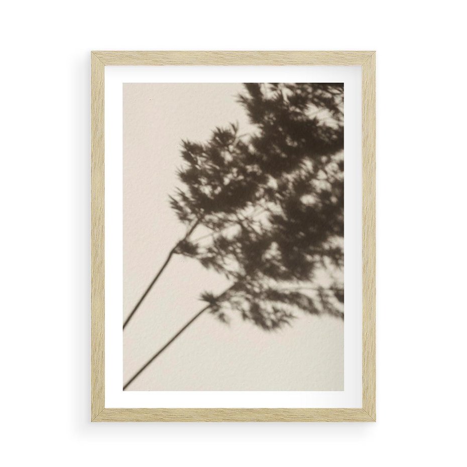 Plakat w ramie 50x70 - Tajemniczy Cień Traw - cień traw, na ścianie - rama drewno