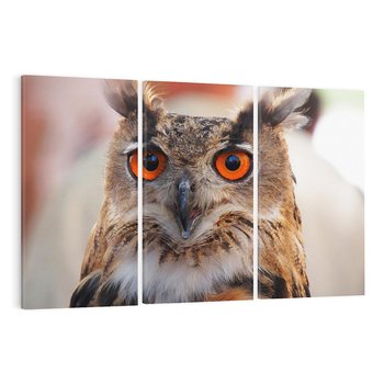 Obraz na płótnie 120x80 - Mądra sowa w locie - sowa, ptak