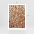 Plakat bez ramy 21x30 - Mistrzowskie suche trawy - suche, trawy