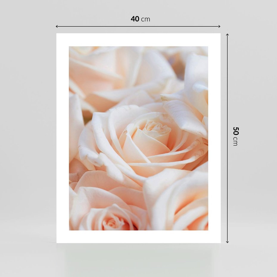 Plakat bez ramy 40x50 - Aromatyczna Piękność - płatki herbacianej róży, kwiaty