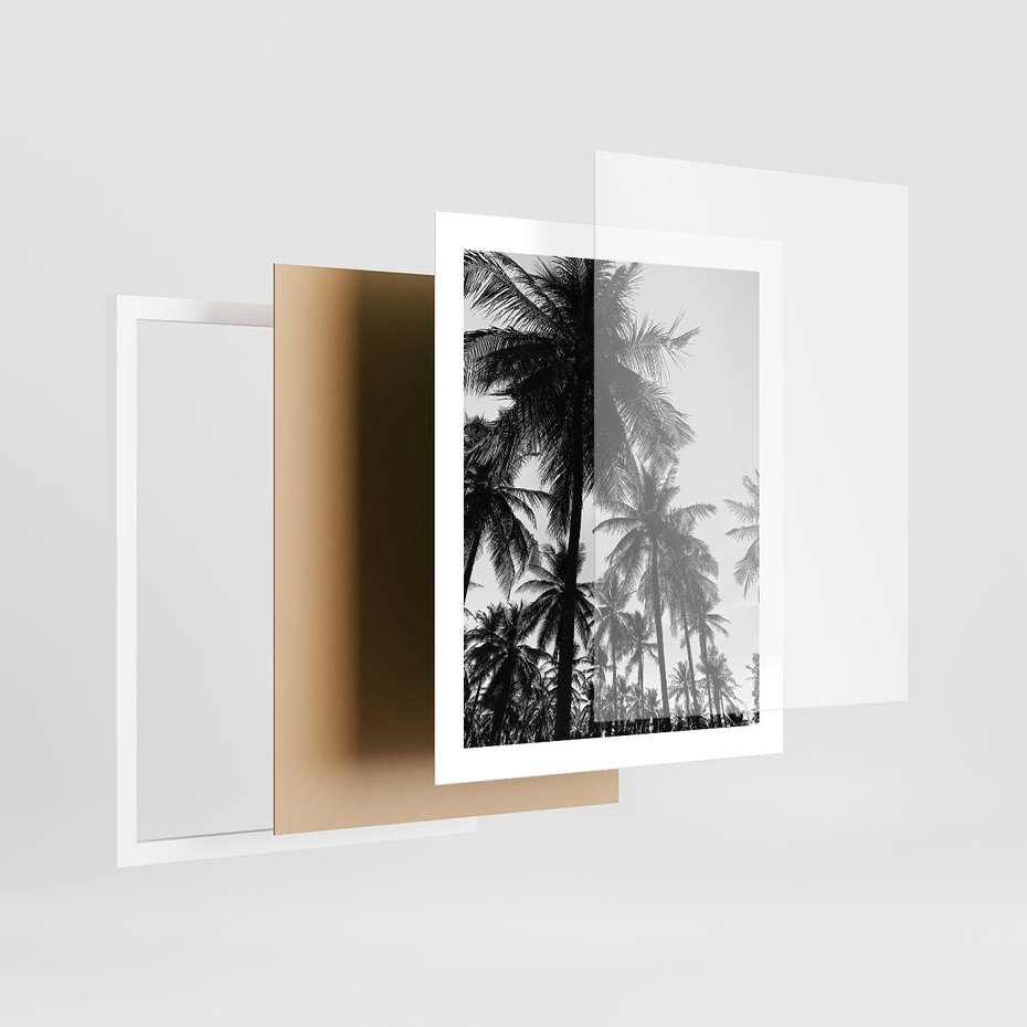 Plakat w ramie 40x50 - Mono Tropiki - palmy, drzewa palmowe - rama biała
