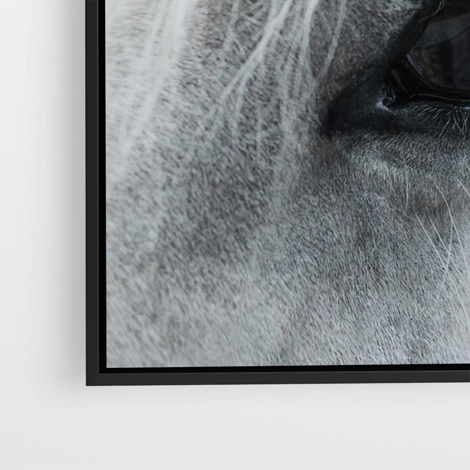 Obraz w ramie 100x70 - Oko Mocy - czarno białe zdjęcie, zbliżenie makro na oko konia - rama czarna