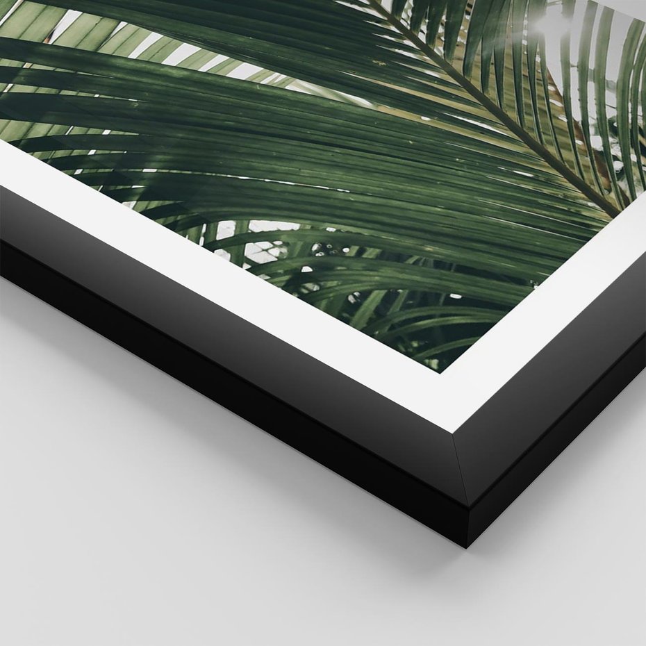 Plakat w ramie 40x50 - Tropikalne Uroki: Palmy i Zielone Liście - palmy, zielone liście - rama czarna
