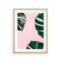 Plakat w ramie 30x40 - Minimalizm Natury - minimalizm, liście monstery - rama drewno