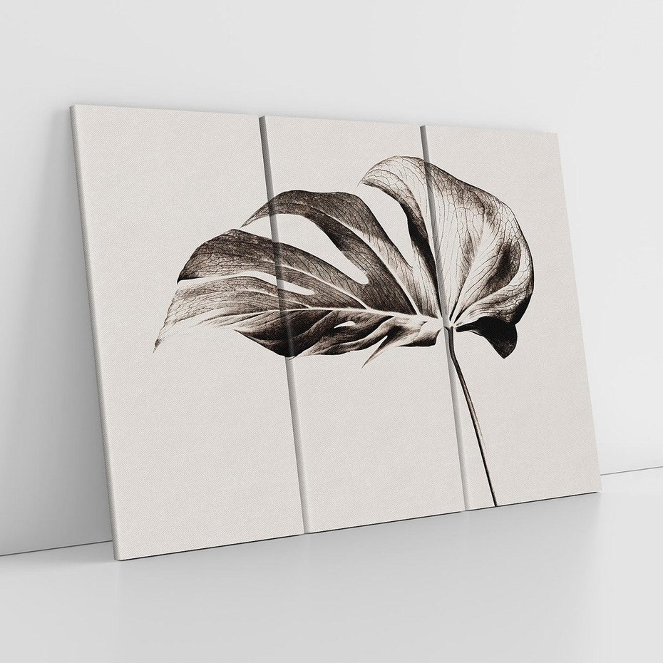 Obraz na płótnie 120x80 - Szapczący Liść - szkic, czarno biały