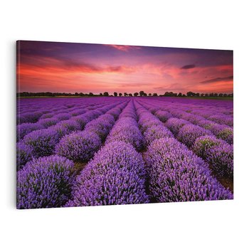 Obraz na płótnie 120x80 - Lawenda: polne zauroczenie - lawenda, kwiaty
