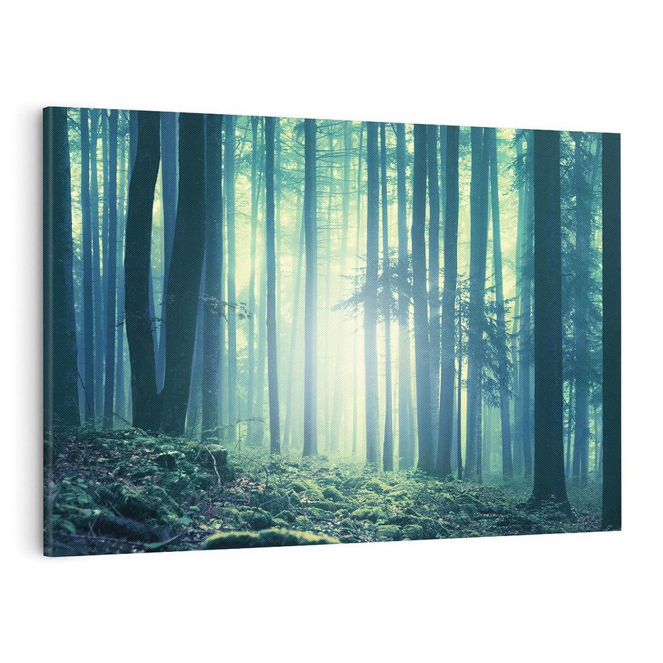 Obraz na płótnie 120x80 - Mistyczny las w mgle - las, mgła