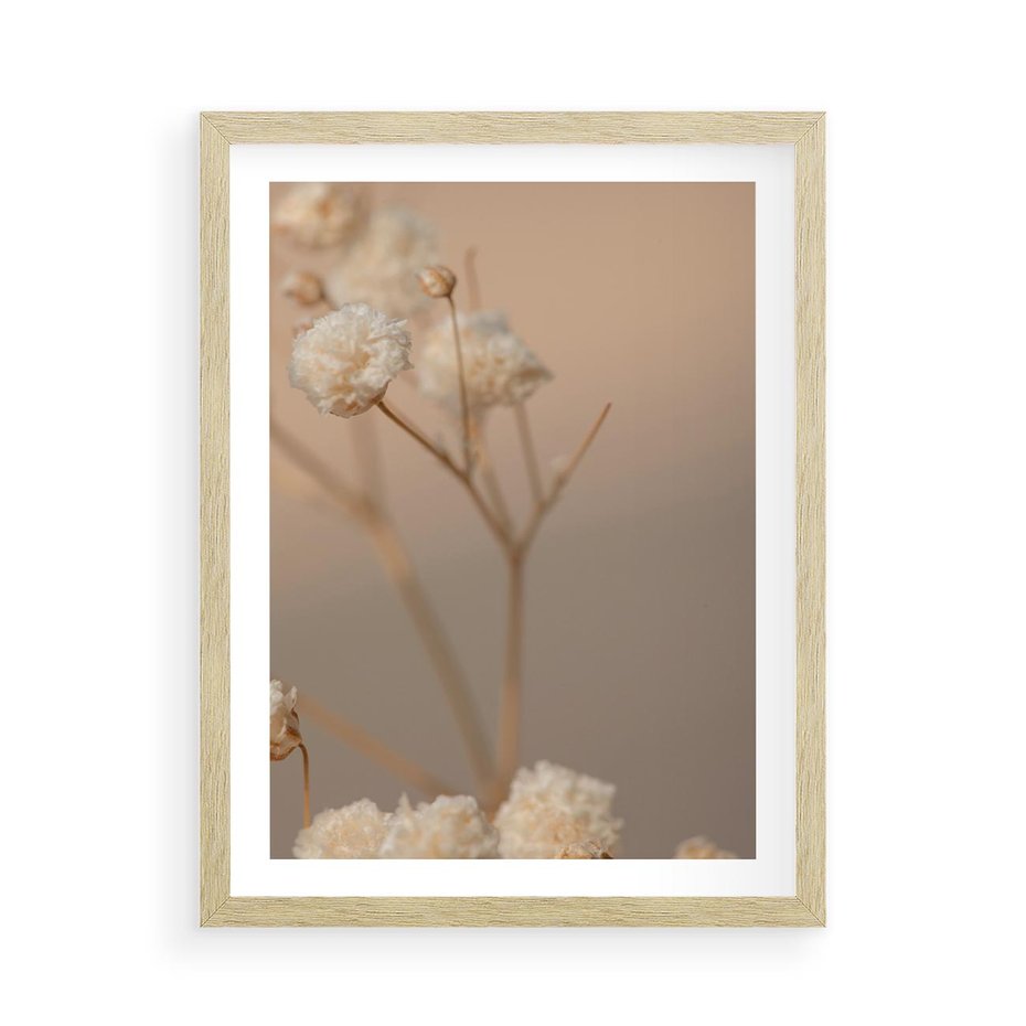 Plakat w ramie 50x70 - Subtelna gipsówka - gipsówka, suche - rama drewno