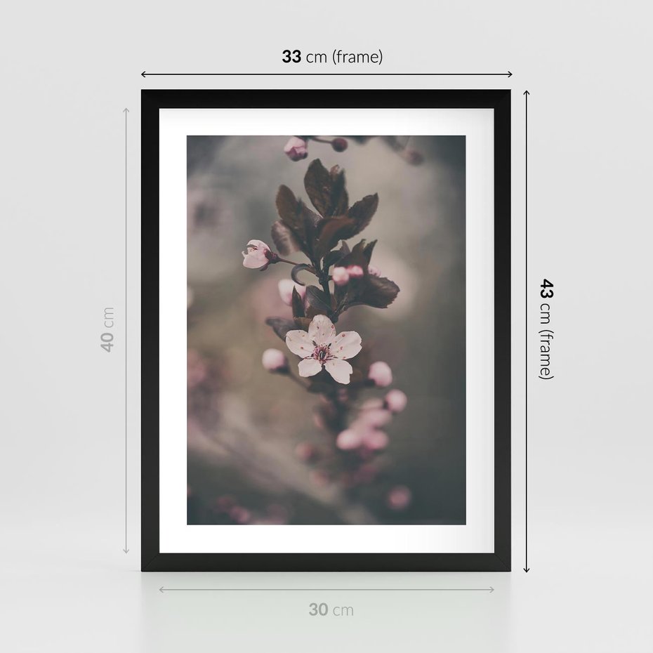 Plakat w ramie 30x40 - Przemijający Urok - kwitnąca, wiśnia - rama czarna