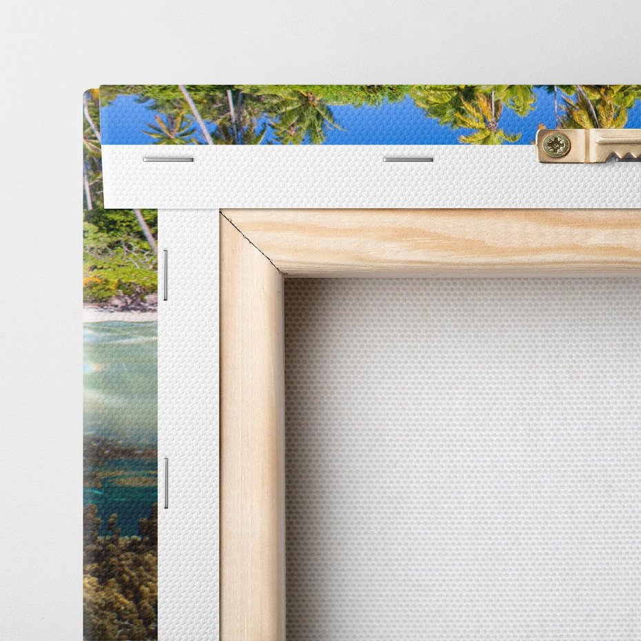 Obraz na płótnie 50x50 - Tropikalne Morze i Kolorowa Rafa - tropikalne, morze