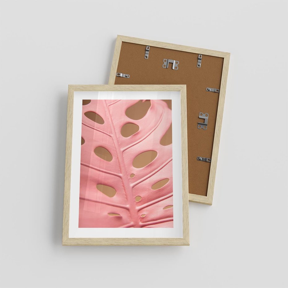 Plakat w ramie 30x40 - Różowa monstera w pełnym rozkwicie - różowa, monstera - rama drewno