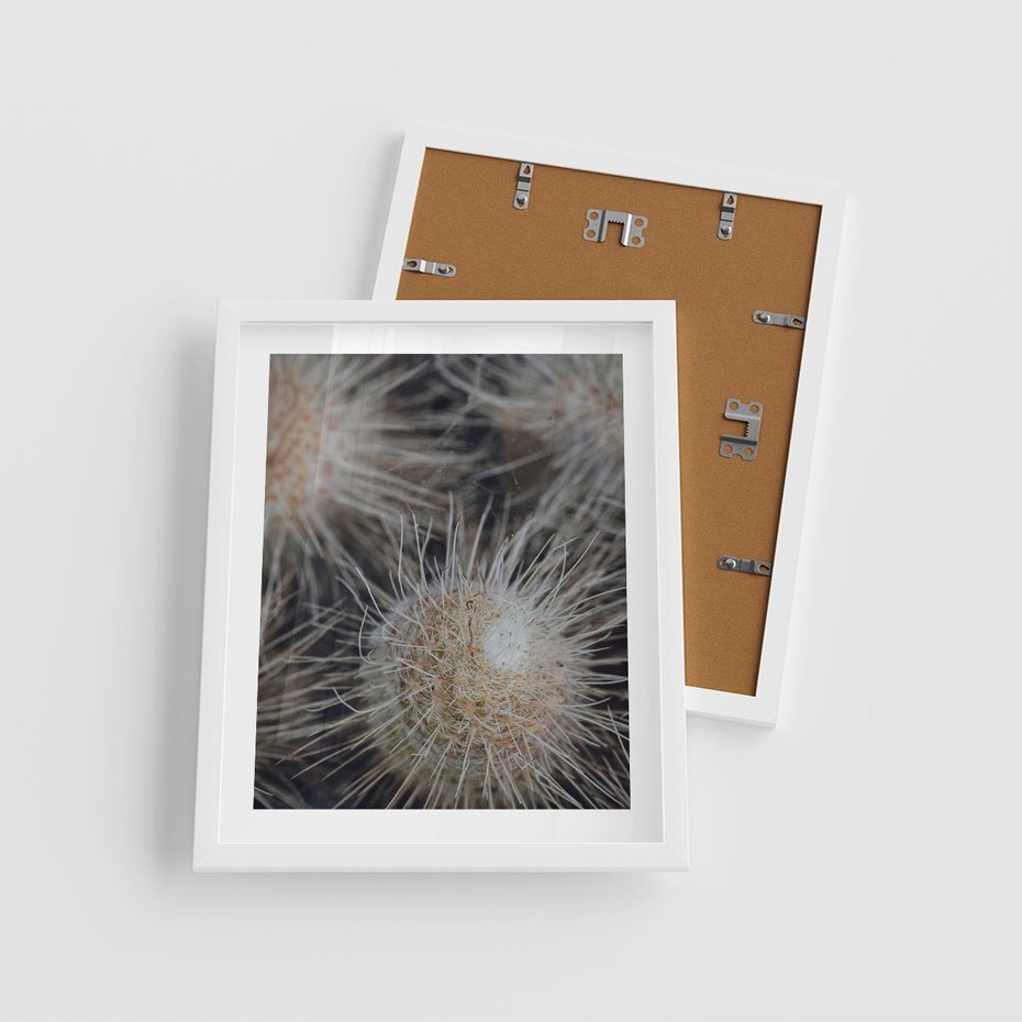 Plakat w ramie 40x50 - Ulotna Piękność Natury - makro, dmuchawce - rama biała