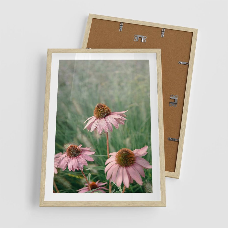 Plakat w ramie 50x70 - Natura w Pełnym Blasku - kwiaty na łące, różowe kwiaty polne - rama drewno