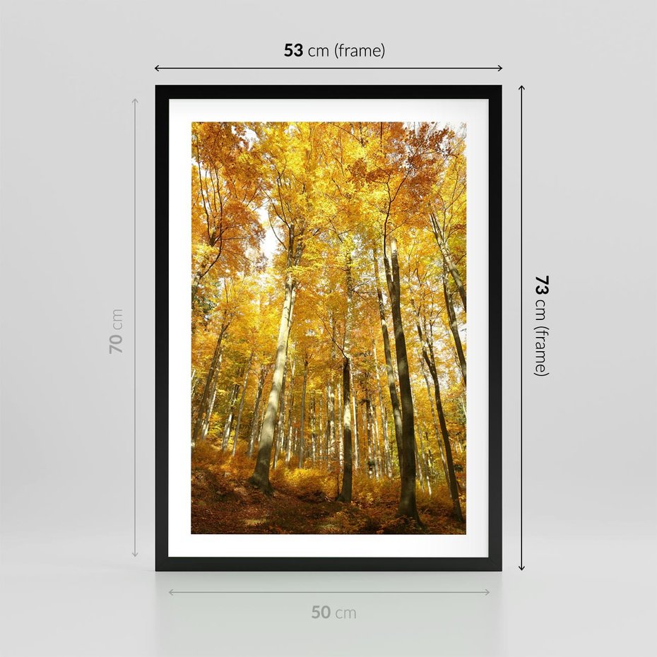 Plakat w ramie 50x70 - Jesienny Las - Kolorowa Paleta Natury - jesień, drzewa - rama czarna