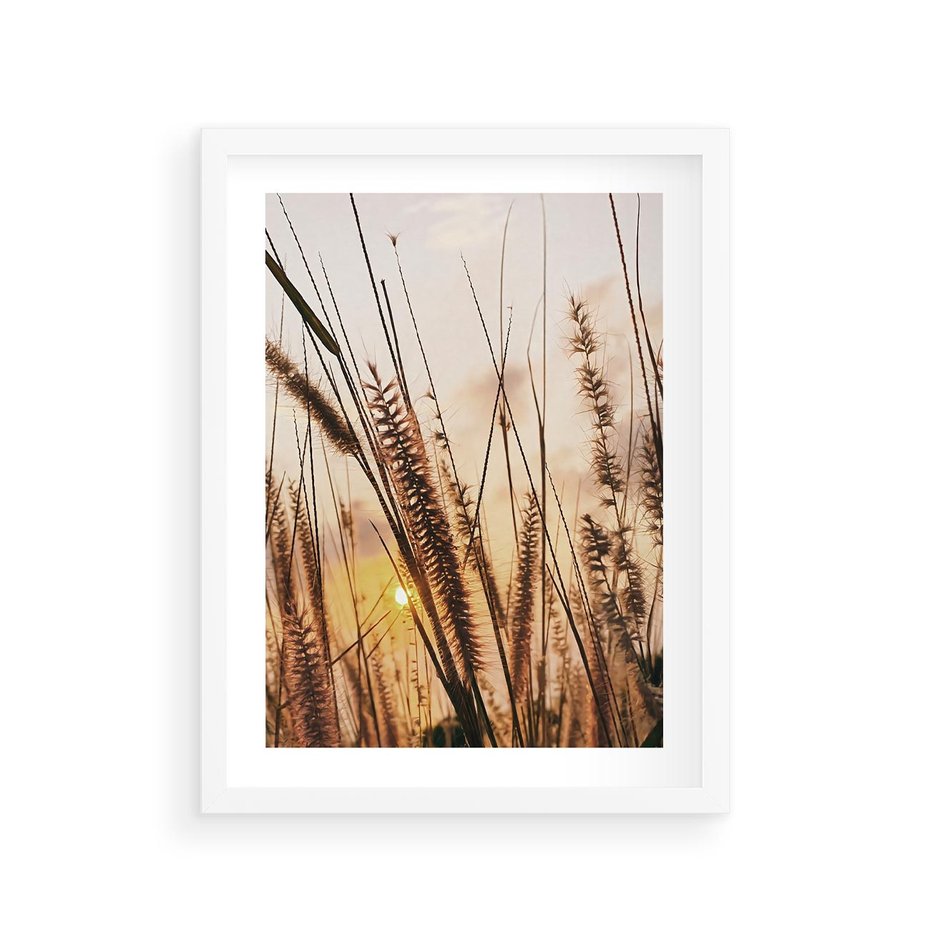 Plakat w ramie 30x40 - Malownicza Łąka z Trawam - trawy, łąka - rama biała